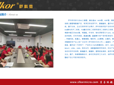 6385742335277554636826089