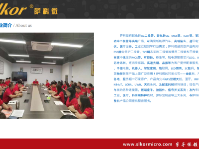 6385761479117773434744640