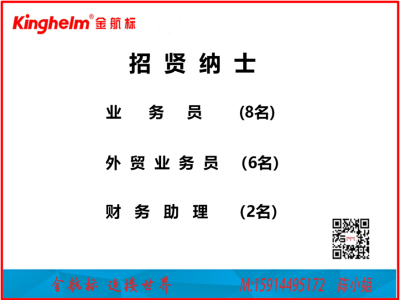 6386528019338769532400445